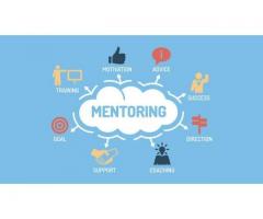 Free Style Business Mentoring
