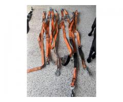 8' Ratcheting Straps - $150